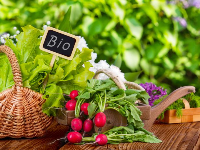 Virágágyás magaságyás fából Wekaline - Image 4