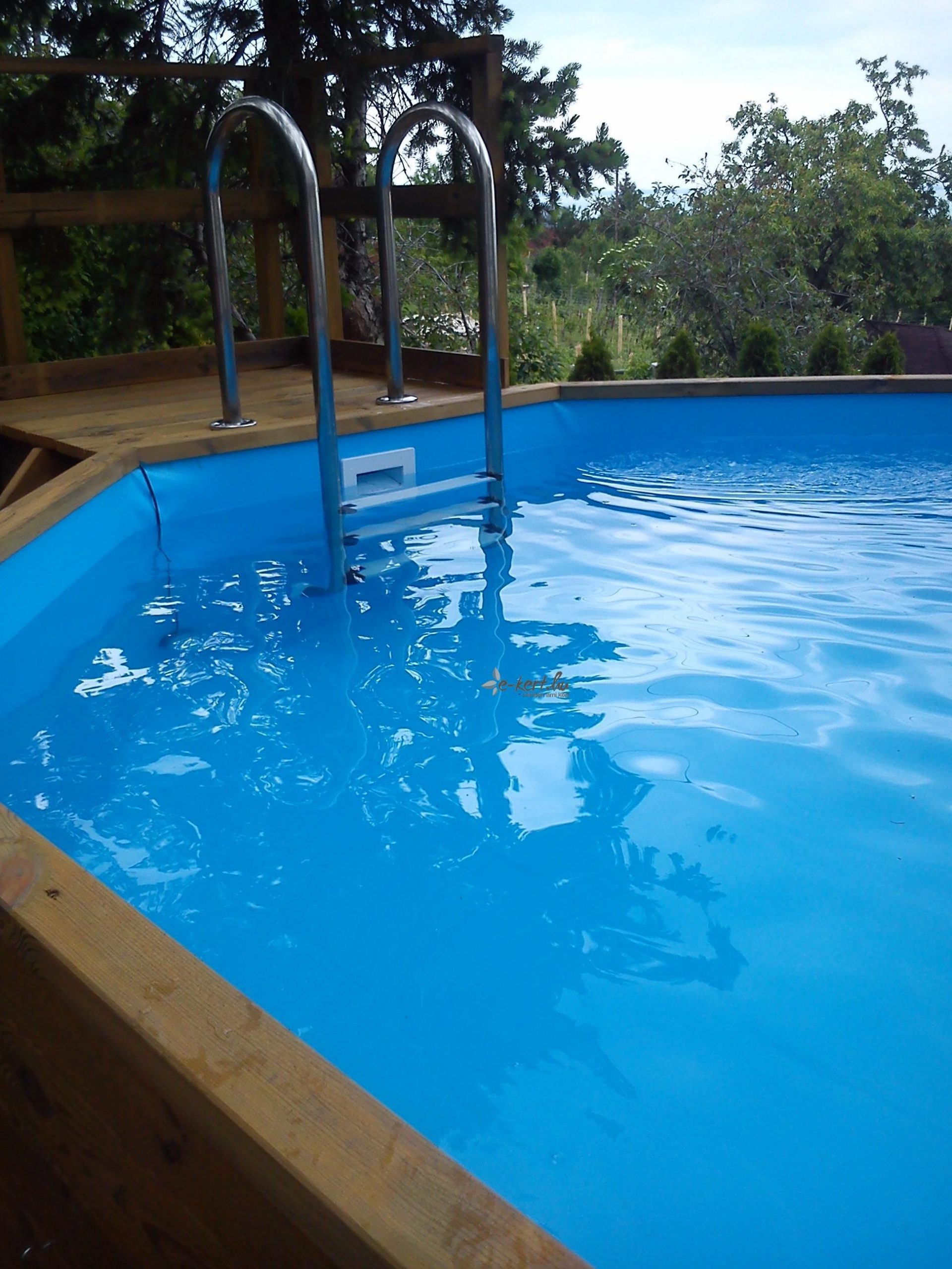 Nemesacél medence létra - Image 3