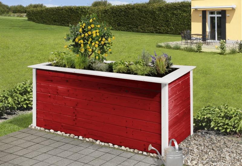 Magaságyás Weka 669. svédvörös